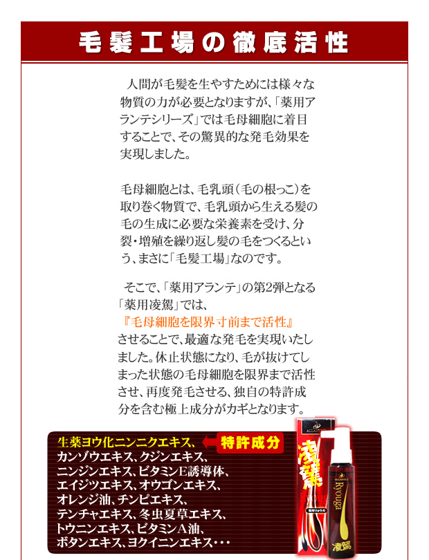 RM-19.JPG - 295,380BYTES